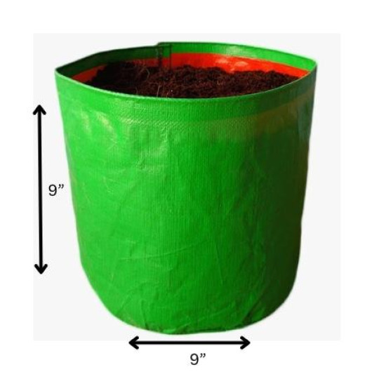 9*9 Grow Bag